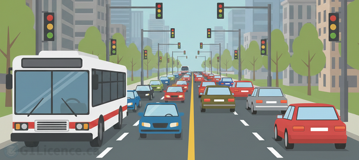 Road Rules Marathon Logo